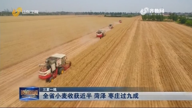 【三夏一线】全省小麦收获近半 菏泽 枣庄过九成