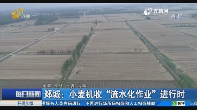 郯城：小麦机收“流水化作业”进行时
