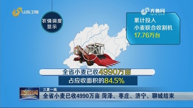 【三夏一线】全省小麦已收4990万亩 菏泽、枣庄、济宁、聊城结束