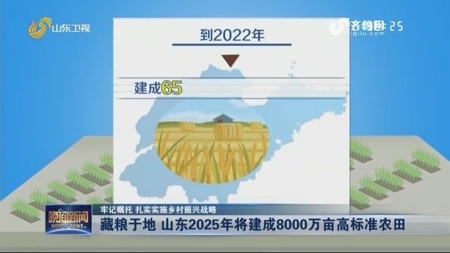 【牢记嘱托 扎实实施乡村振兴战略】藏粮于地 山东2025年将建成8000万亩高标准农田
