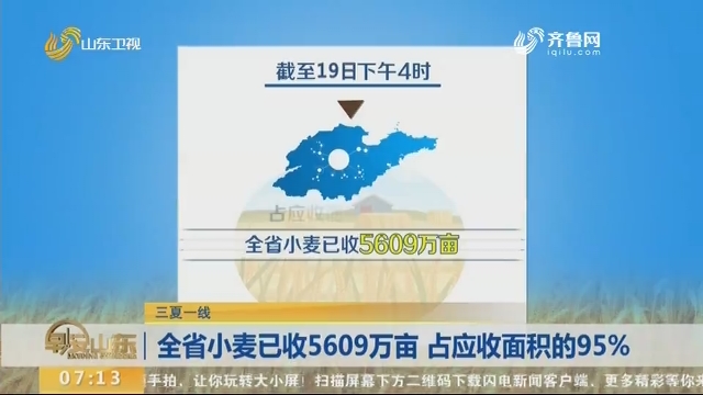 【三夏一线】全省小麦已收5609万亩 占应收面积的95%