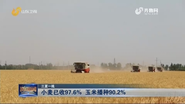 【三夏一线】小麦已收97.6% 玉米播种90.2%