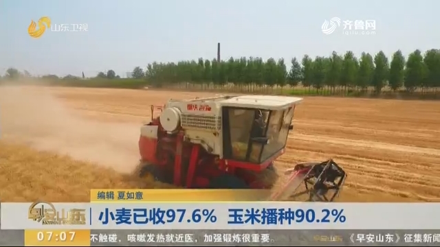 小麦已收97.6% 玉米播种90.2%
