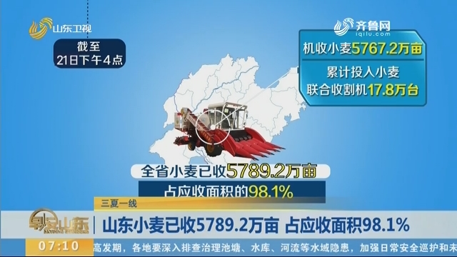 【三夏一线】山东小麦已收5789.2万亩 占应收面积98.1%