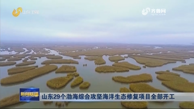 山东29个渤海综合攻坚海洋生态修复项目全部开工