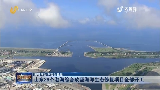 山东29个渤海综合攻坚海洋生态修复项目全部开工