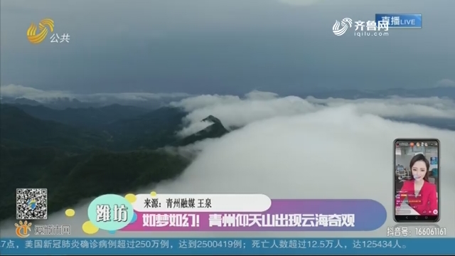 潍坊：如梦如幻！青州仰天山出现云海奇观