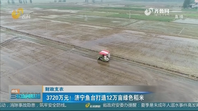 【财政支农】3720万元！济宁鱼台打造12万亩绿色稻米