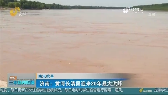 【防汛抗旱】济南：黄河长清段迎来20年最大洪峰