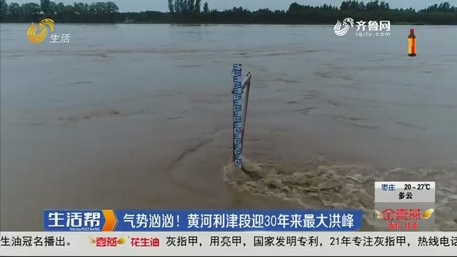 气势汹汹！黄河利津段迎30年来最大洪峰