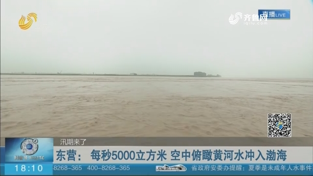 【汛期来了】东营：每秒5000立方米 空中俯瞰黄河水冲入渤海