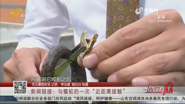 【关注暑期安全】新闻链接：与蝮蛇的一次“近距离接触”