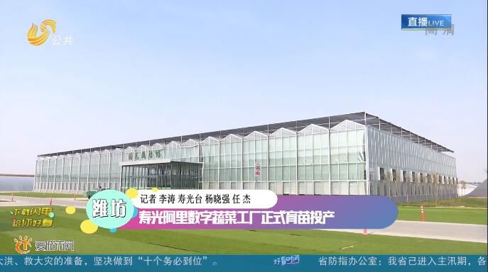 潍坊：寿光阿里数字蔬菜工厂正式育苗投产