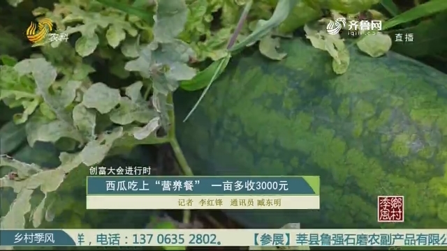 【创富大会进行时】西瓜吃上“营养餐” 一亩多收3000元