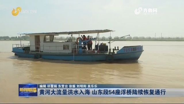 黄河大流量洪水入海 山东段54座浮桥陆续恢复通行