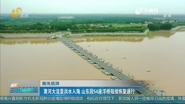 【防汛抗洪】黄河大流量洪水入海 山东段54座浮桥陆续恢复通行
