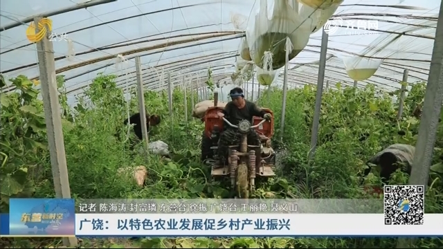广饶：以特色农业发展促乡村产业振兴