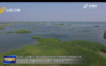 黄河三角洲：以生态方式修复生态