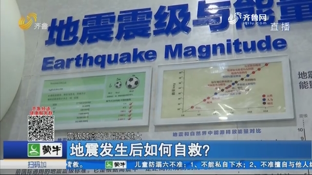 地震发生后如何自救？