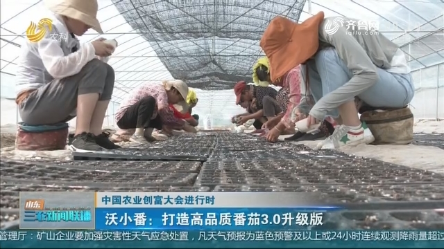 【中国农业创富大会进行时】沃小番：打造高品质番茄3.0升级版