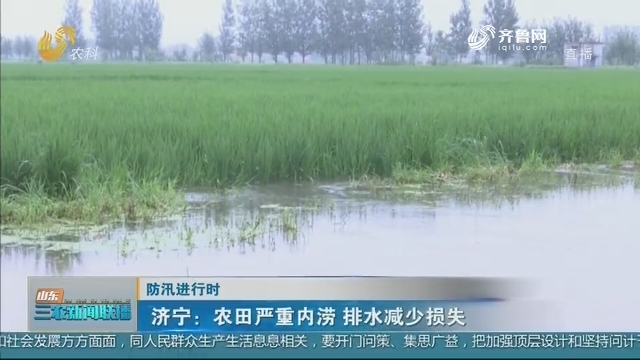 【防汛进行时】济宁：农田严重内涝 排水减少损失