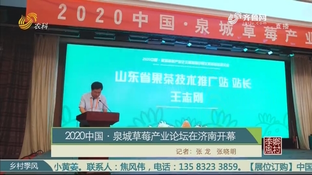 2020中国·泉城草莓产业论坛在济南开幕