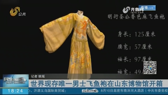 世界现存唯一男士飞鱼袍在山东博物馆开箱