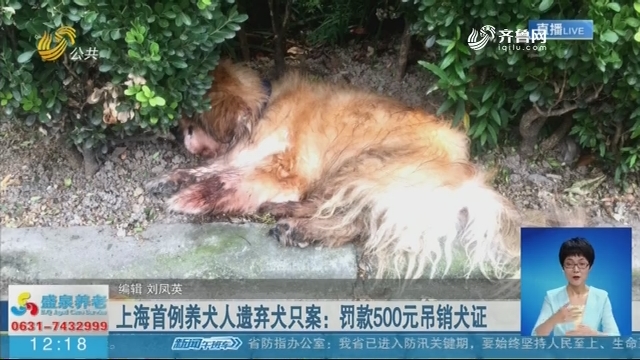 上海首例养犬人遗弃犬只案：罚款500元吊销犬证