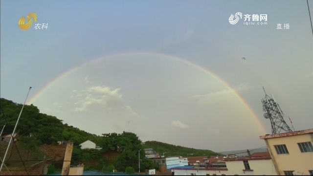 烟台长岛：彩虹横跨天际