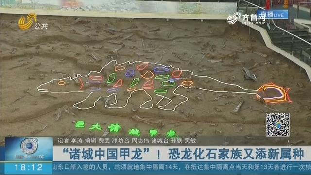 “诸城中国甲龙”！恐龙化石家族又添新属种