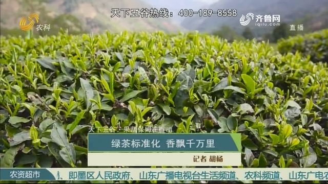 【天下五谷·果蔬保姆在行动】绿茶标准化 香飘千万里