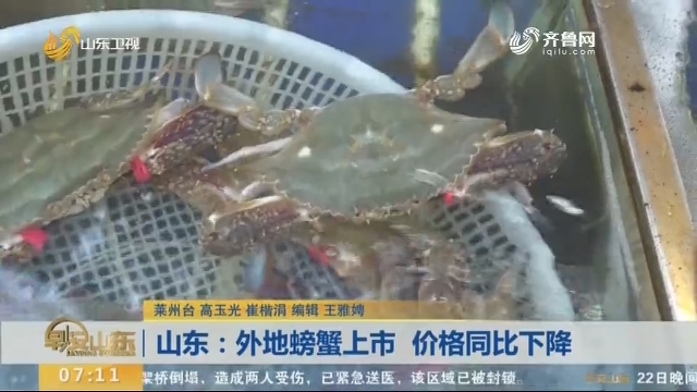 山东：外地螃蟹上市 价格同比下降