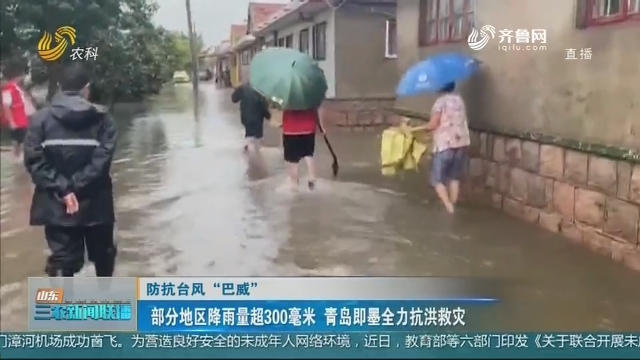 【防抗台风“巴威”】部分地区降雨量超300毫米 青岛即墨全力抗洪救灾