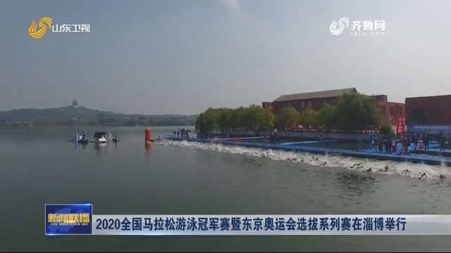 2020全国马拉松游泳冠军赛暨东京奥运会选拔系列赛在淄博举行