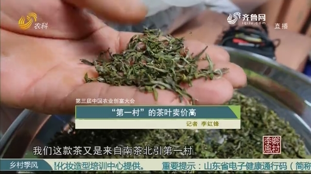 【第三届中国农业创富大会】“第一村”的茶叶卖价高