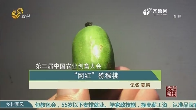 【第三届中国农业创富大会】“网红”猕猴桃