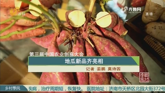 【第三届中国农业创富大会】地瓜新品齐亮相