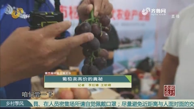 【第三届中国农业创富大会】葡萄卖高价的奥秘
