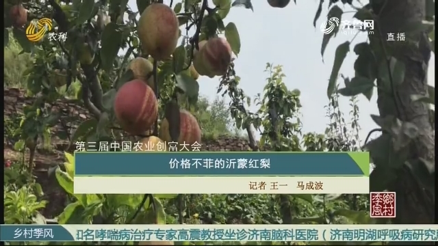 【第三届中国农业创富大会】价格不菲的沂蒙红梨
