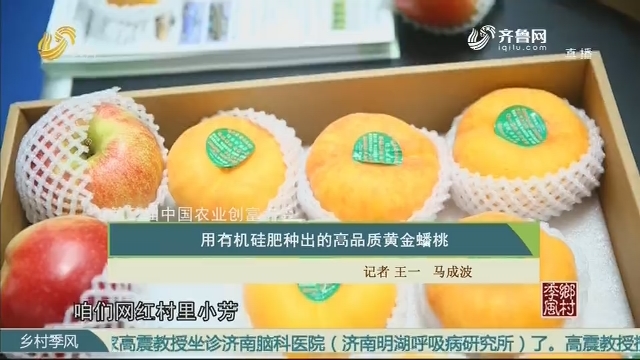 【第三届中国农业创富大会】用有机硅肥种出的高品质黄金蟠桃