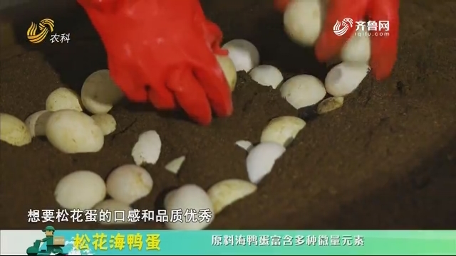 20200911《中国原产递》：松花海鸭蛋