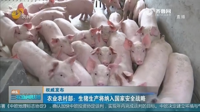 【权威发布】农业农村部：生猪生产将纳入国家安全战略