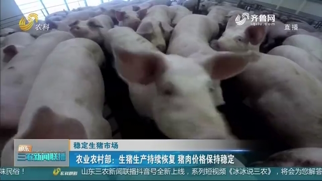 【稳定生猪市场】农业农村部：生猪生产持续恢复 猪肉价格保持稳定