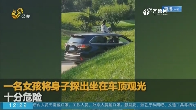 【抖音热点榜】女孩坐车顶游览北京野生动物园 园方已介入调查