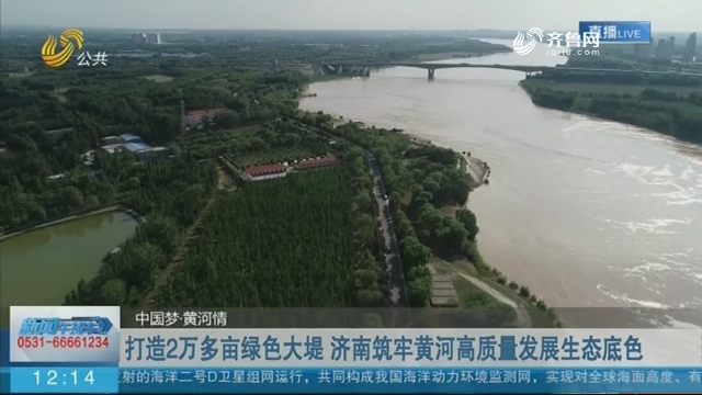 【中国梦·黄河情】打造2万多亩绿色大堤 济南筑牢黄河高质量发展生态底色