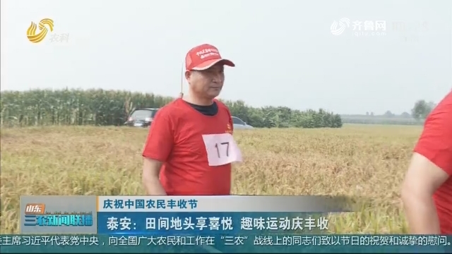 【庆祝中国农民丰收节】泰安：田间地头享喜悦 趣味运动庆丰收