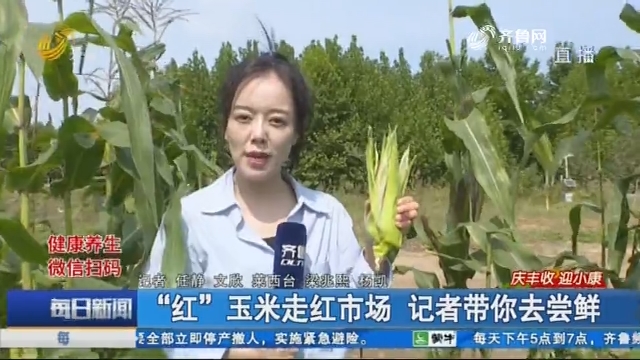 【庆丰收 迎小康】“红”玉米走红市场 记者带你去尝鲜