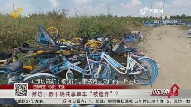 【记者调查】潍坊：数千辆共享单车“被遗弃”？