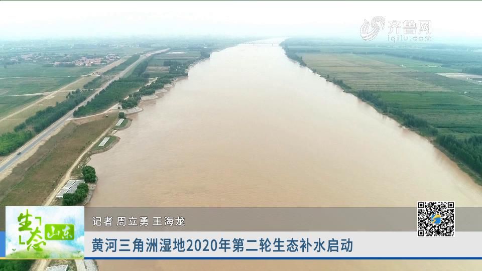 黄河三角洲湿地2020年第二轮生态补水启动
