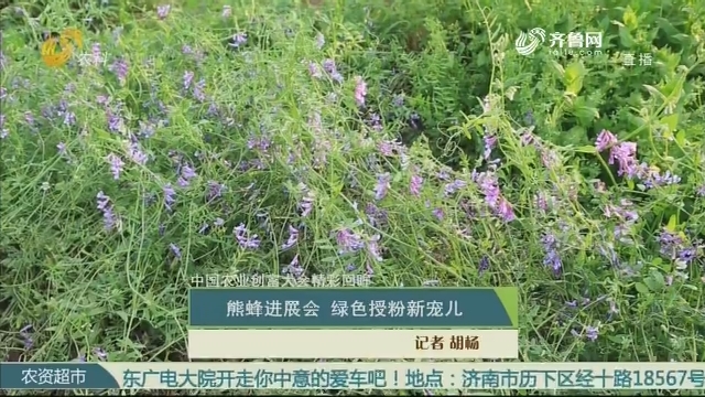 【第三届中国农业创富大会精彩回眸】熊蜂进展会 绿色授粉新宠儿